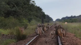 Na cestě po středním Zimbabwe