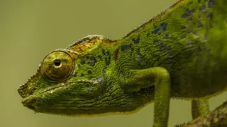 Neznámý Madagaskar (2/2)