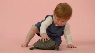 Skrytý život našich domácích mazlíčků (1/4)