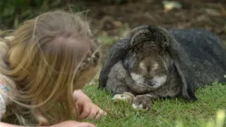 Skrytý život našich domácích mazlíčků (1/4)