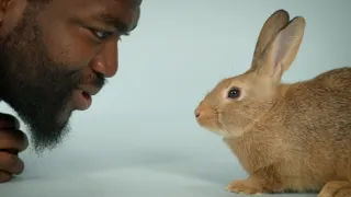 Skrytý život našich domácích mazlíčků (1/4)