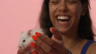 Skrytý život našich domácích mazlíčků (1/4)