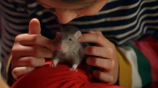 Skrytý život našich domácích mazlíčků (1/4)