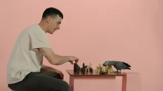 Skrytý život našich domácích mazlíčků (1/4)