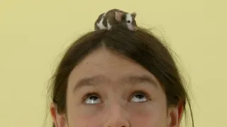 Skrytý život našich domácích mazlíčků (1/4)