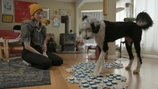 Skrytý život našich domácích mazlíčků (1/4)