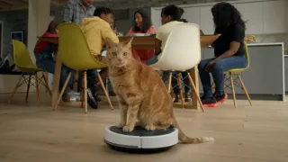 Skrytý život našich domácích mazlíčků (1/4)