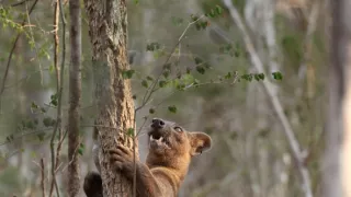 Neznámý Madagaskar (2/2)