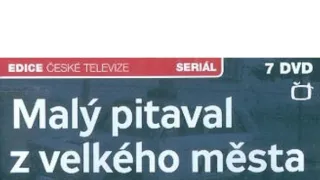 Malý pitaval z velkého města (3)