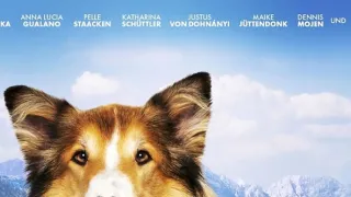 Lassie: Nové dobrodružstvo