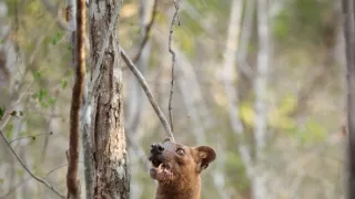 Neznámý Madagaskar (2/2)