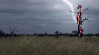 Planeta Země - živý organismus (1/2)