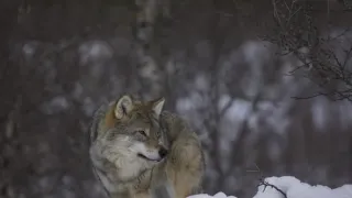 Jak se mění naše planeta