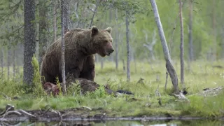 Jak se mění naše planeta