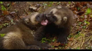 Jak se mění naše planeta