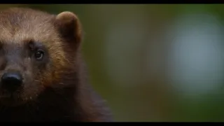 Jak se mění naše planeta