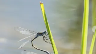 Jak se mění naše planeta