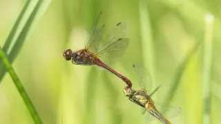 Jak se mění naše planeta