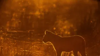 Jak se mění naše planeta