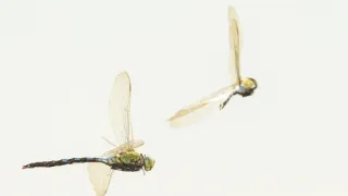 Jak se mění naše planeta