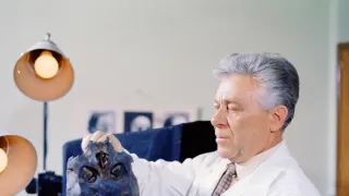 Malý pitaval z velkého města (7)
