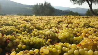 Na cestě po východní Krétě