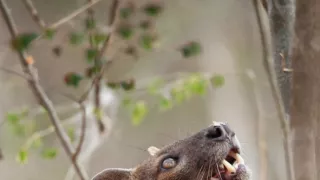 Neznámý Madagaskar (2/2)