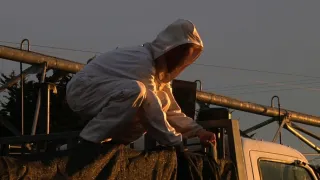 Na cestě po Tasmánii