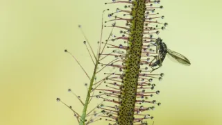 Jak se mění naše planeta