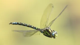 Jak se mění naše planeta