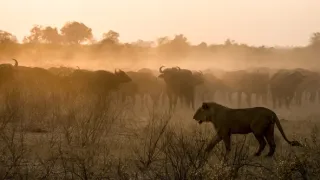 Jak se mění naše planeta