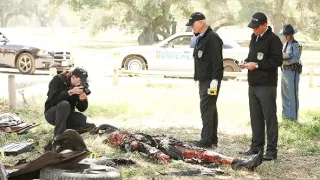 NCIS - Námorný vyšetrovací úrad XII (3)