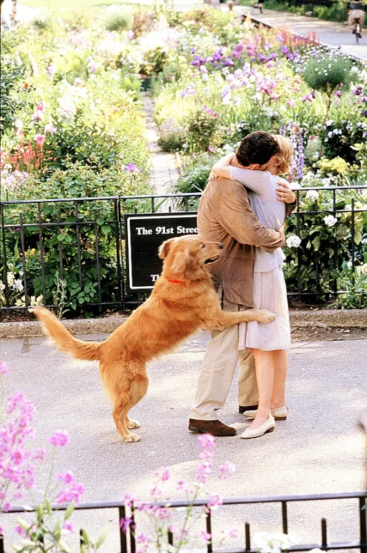 Láska cez internet (You've Got Mail), 1998 - fotogaléria