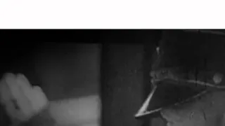 Hitlerův itinerář (2)