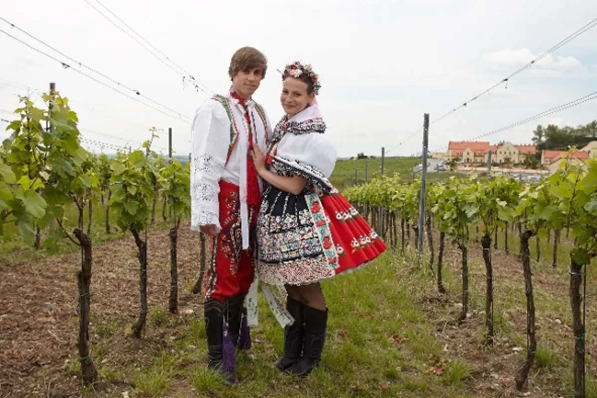 Vinaři, 2014 - fotogaléria