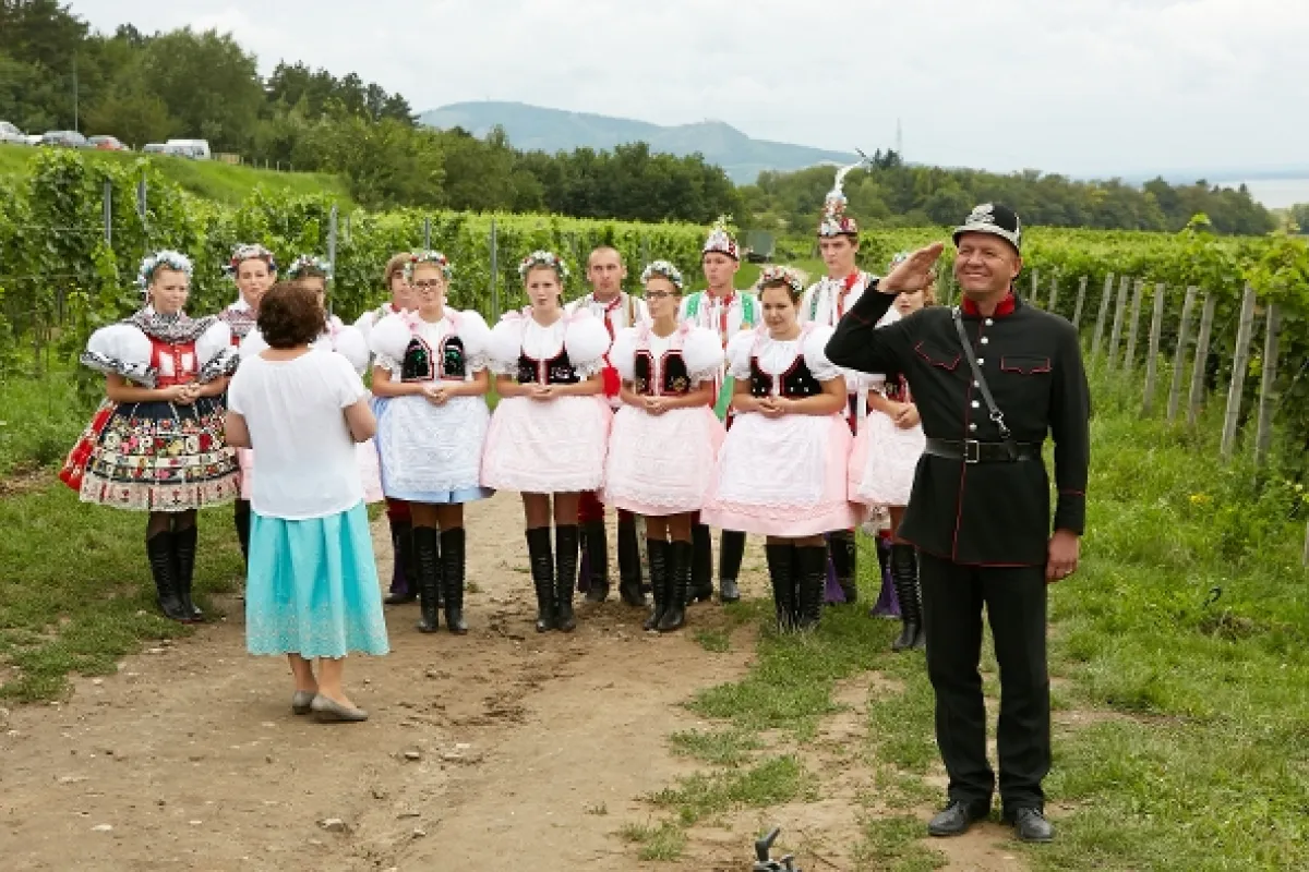 Vinaři, 2014 - fotogaléria