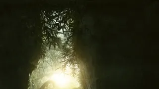 Ztracené město Z