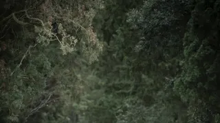 Geniální přítelkyně III (4)