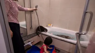 Vydry - ilegální obchod s exotickými zvířaty
