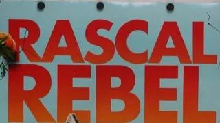 Králíček Petr