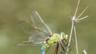 Jak se mění naše planeta