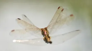 Jak se mění naše planeta