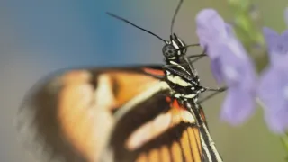 Jak se mění naše planeta