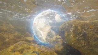 Planeta Země - živý organismus (1/2)