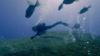 Planeta Země - živý organismus (1/2)