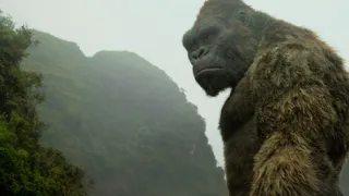 Kong: Koponya-sziget