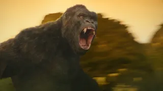 Kong: Koponya-sziget