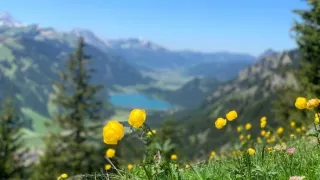 Tannheimské údolí: Alpský klenot