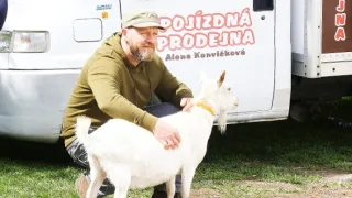 Slunečná (44)