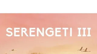 Zázračná planeta: Serengeti III (2/6)